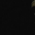 Silent Hill 2: Enhanced Edition – Final Update – MULTi6 – GNU/Linux Wine – jc141