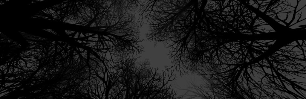 Witch Hunt – b6898447 – MULTi10 – GNU/Linux Wine – jc141 (Appid=661790)