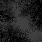 Witch Hunt – b6898447 – MULTi10 – GNU/Linux Wine – jc141 (Appid=661790)