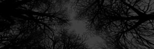 Witch Hunt – b6898447 – MULTi10 – GNU/Linux Wine – jc141 (Appid=661790)