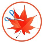 Easy Cut Studio 6.025 (x64) Multilingual + Crack[FixFiles]