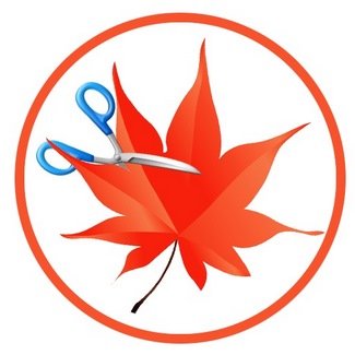 Easy Cut Studio 6.025 (x64) Multilingual + Crack[FixFiles]