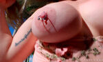 EvilAngel 26 08 25 Scarlet Chase Public Pussy Ass Mouth And Feet Job XXX 2160p MP4-WRB [XC]