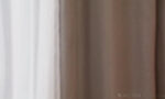 AllGirlMassage 26 08 31 Alison Rey Lexi Luna My First Vajacial XXX 480p MP4-XXX [XC]